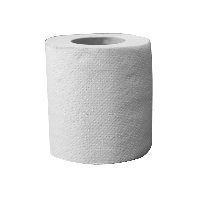 Papier toilette hygiénique Écolabel - Colis 96 rouleaux